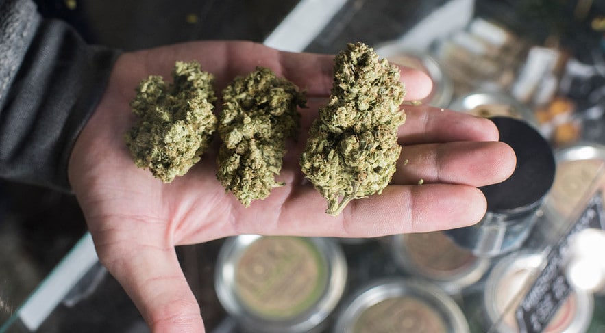 Texas-drug-crimes-lawyer man-holding-marijuana